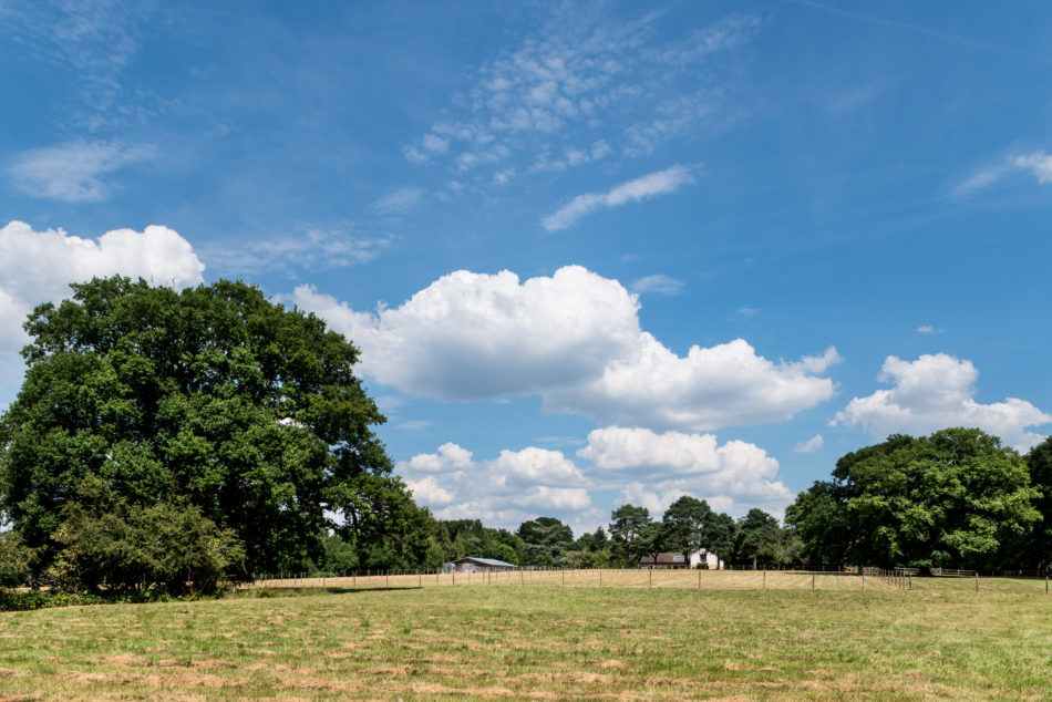 For Sale Maresfield Park, Maresfield, East Sussex The Modern House