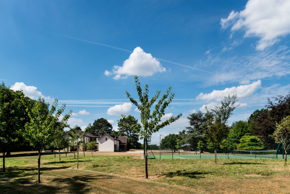 For Sale Maresfield Park, Maresfield, East Sussex The Modern House