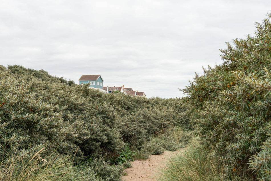 For Sale Anderby Creek, Lincolnshire The Modern House