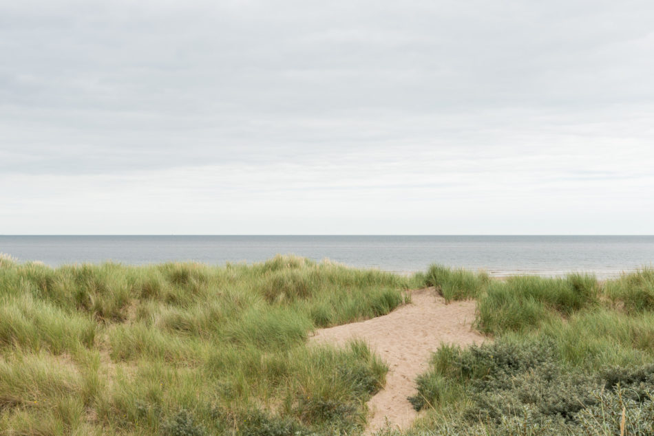 For Sale Anderby Creek, Lincolnshire The Modern House