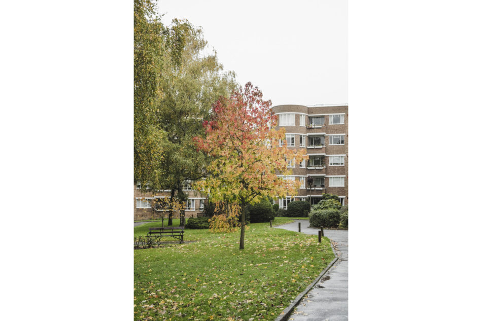 For Sale Ruskin Park House II, Champion Hill, London SE5 The Modern