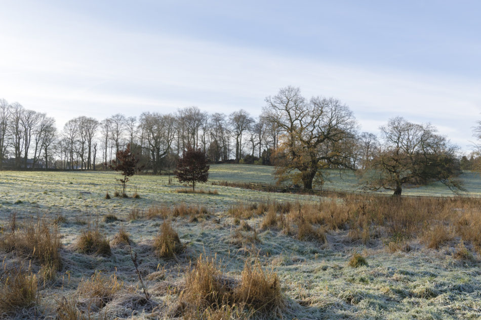 For Sale Scriven, Knaresborough, North Yorkshire The Modern House