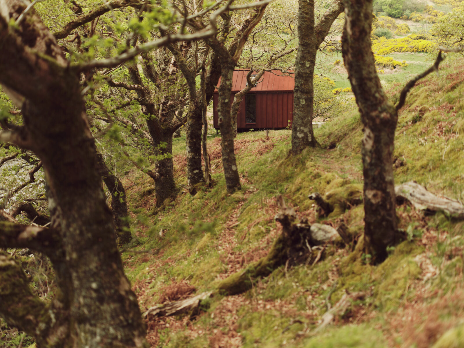Author Kat Hill on why we all yearn for the sanctuary of a modern bothy