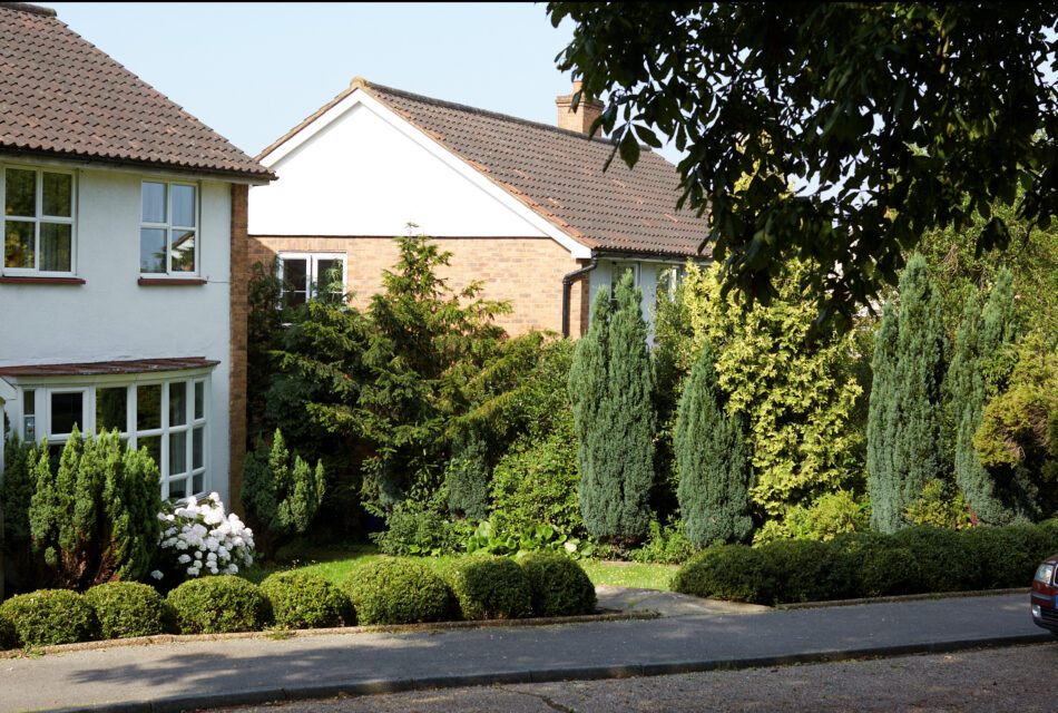 For Sale Baird Gardens, SE19 The Modern House
