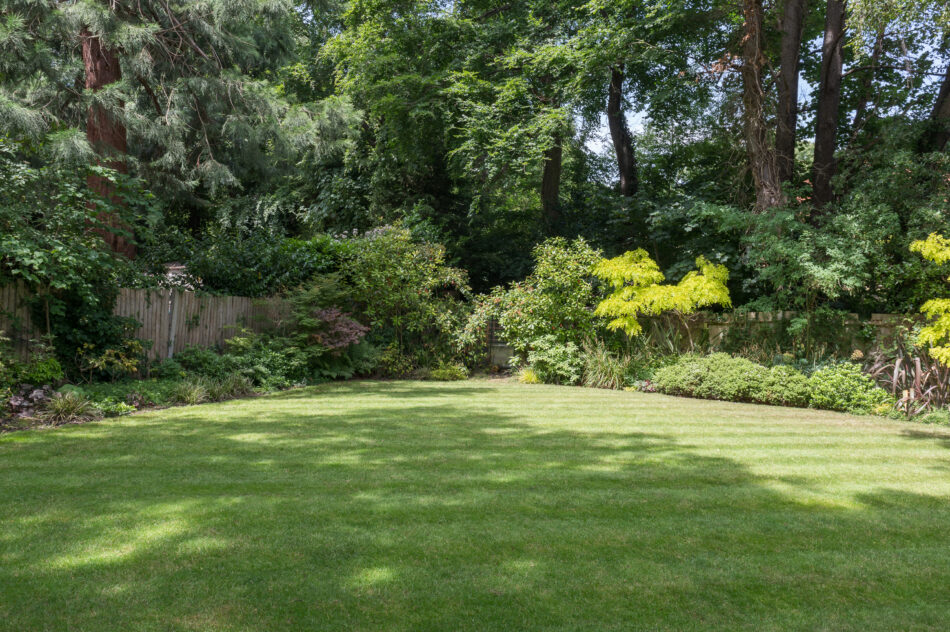 For Sale Cameron Road II, London BR2 The Modern House