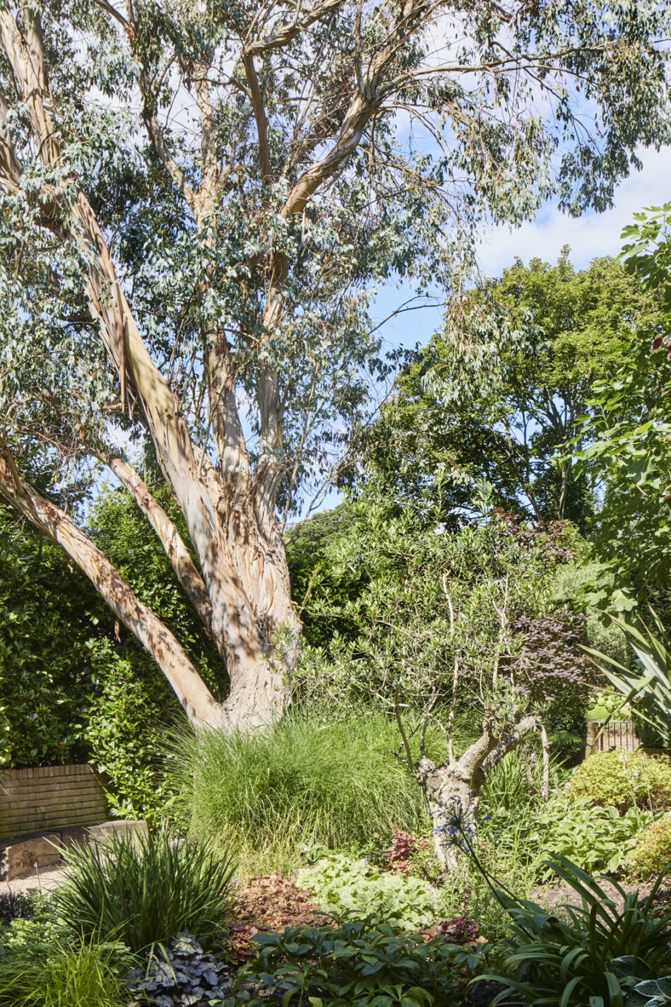 For Sale Fitzroy Park II, London N6 The Modern House