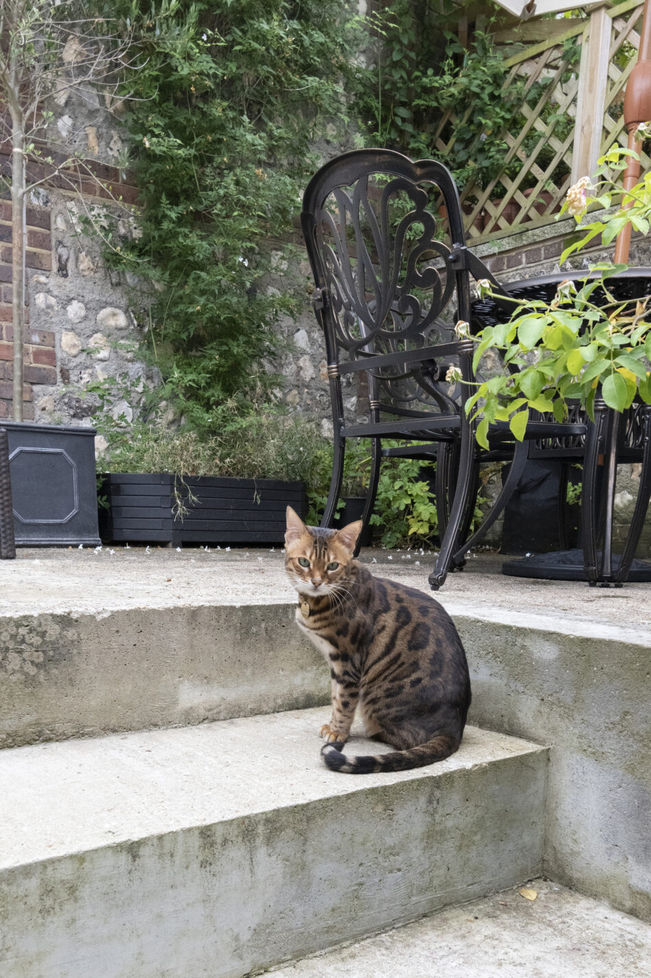 For Sale Hanover Terrace, Hanover, Brighton The Modern House