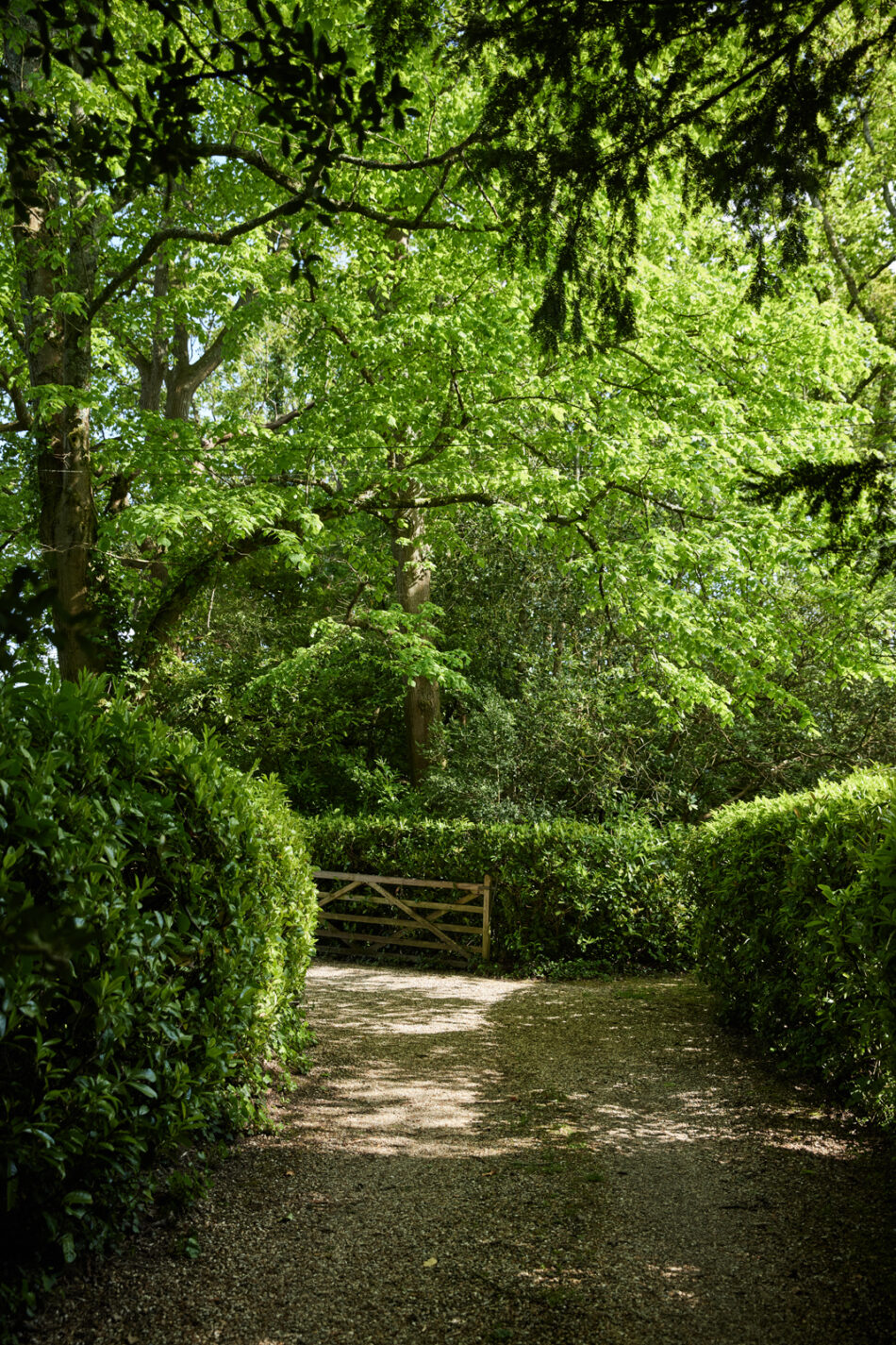 For Sale Sway, Lymington, Hampshire The Modern House