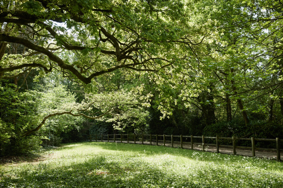 For Sale Sway, Lymington, Hampshire The Modern House
