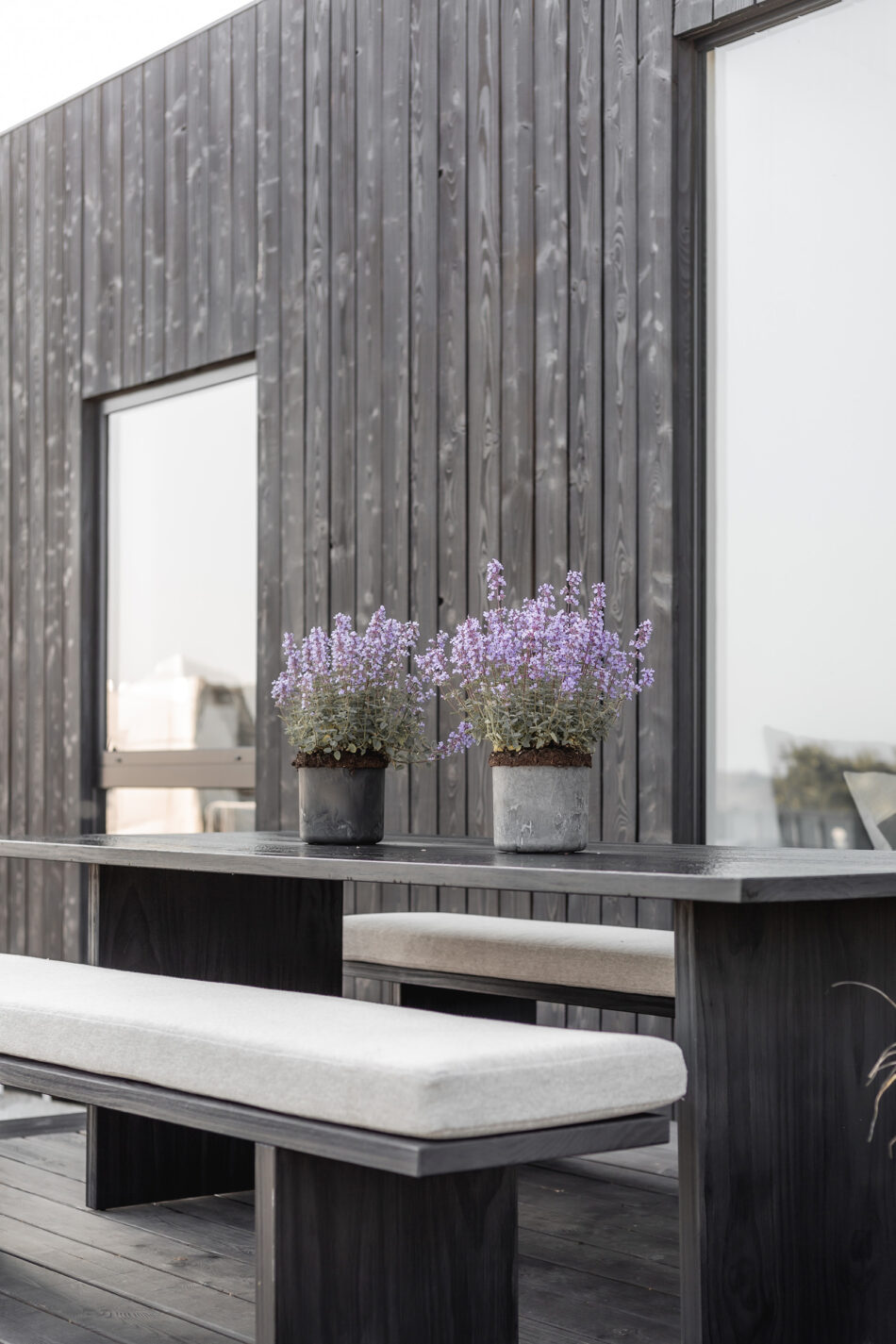 For Sale The Point, Polzeath, Cornwall The Modern House