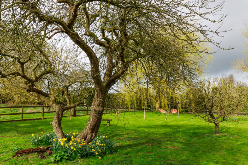 For Sale Lovington Road, Castle Cary, Somerset The Modern House