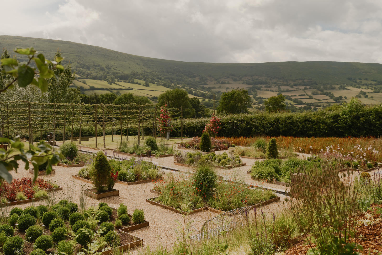 Outside chance: six homes with spectacular gardens