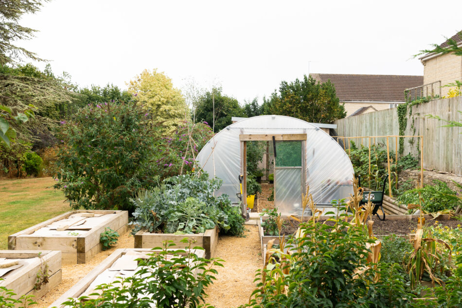 For Sale Nunney Road, Frome, Somerset The Modern House