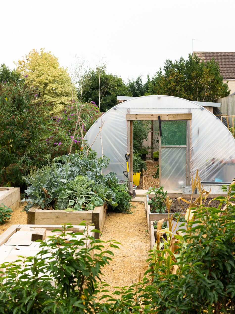 For Sale Nunney Road, Frome, Somerset The Modern House