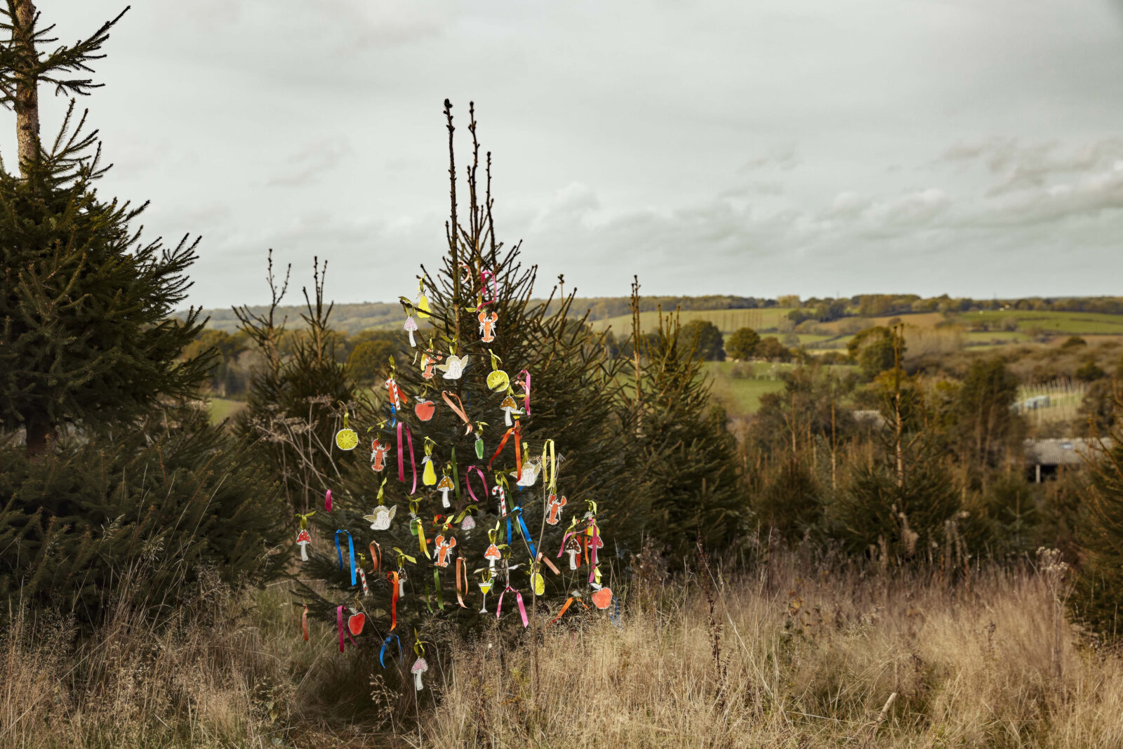 The Modern House guide to Christmas gifts that give back