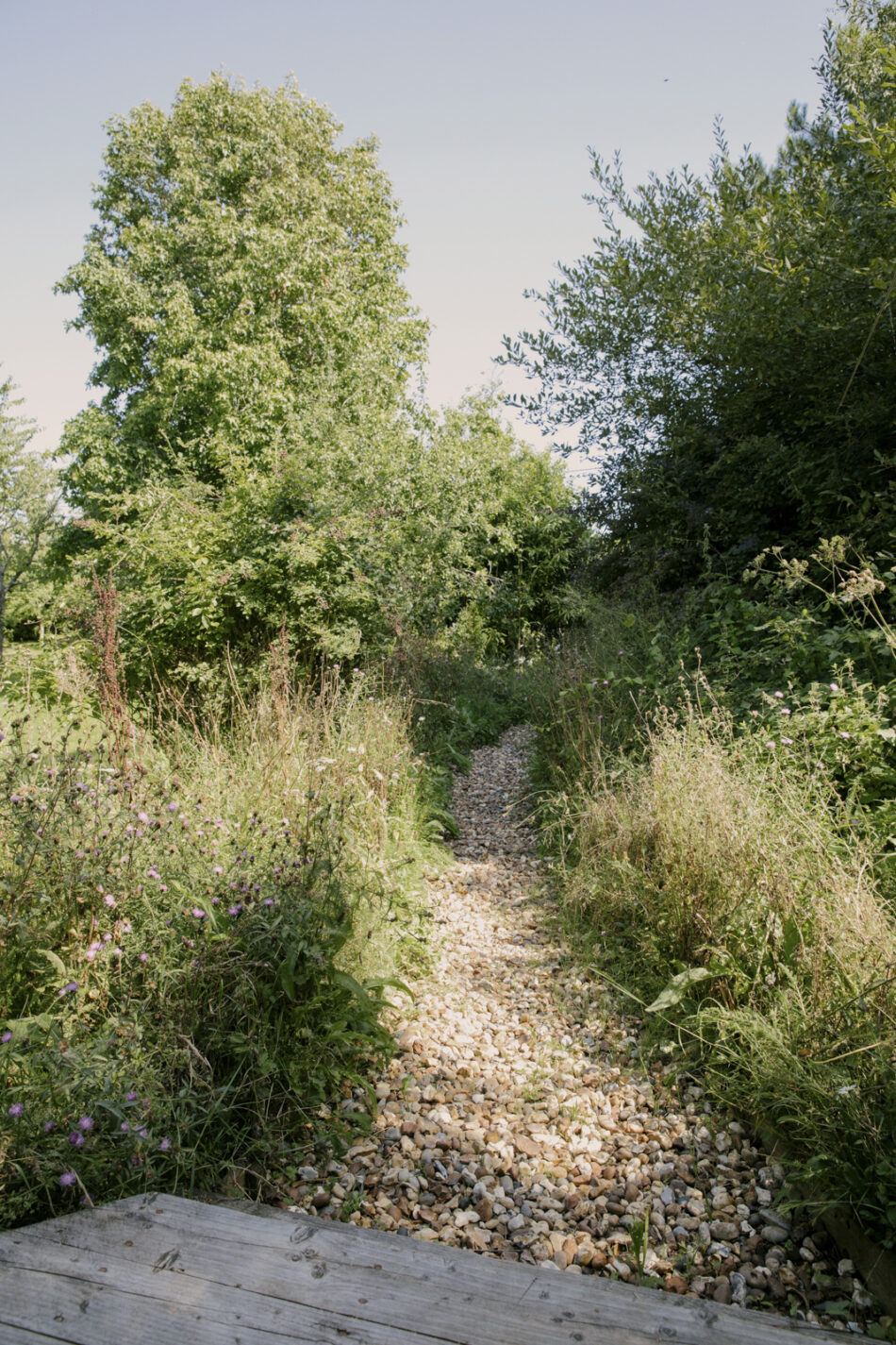 For Sale The Shell House, Winchelsea Beach, East Sussex The Modern House