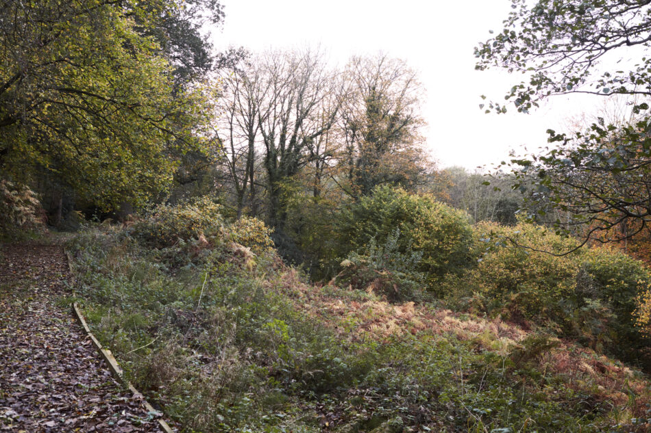 For Sale Swettenham Road, Congleton, Cheshire The Modern House