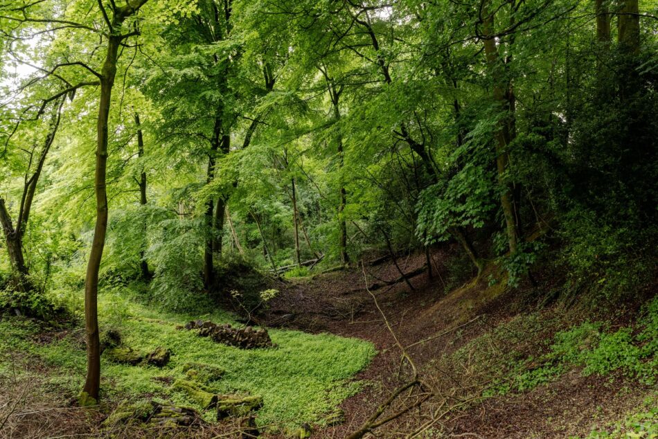 For Sale Sycamore Dene II, Chesham, Buckinghamshire The Modern House