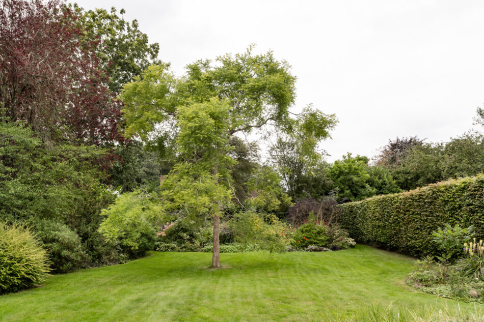 For Sale Marshalwick Lane, St Albans, Hertfordshire The Modern House