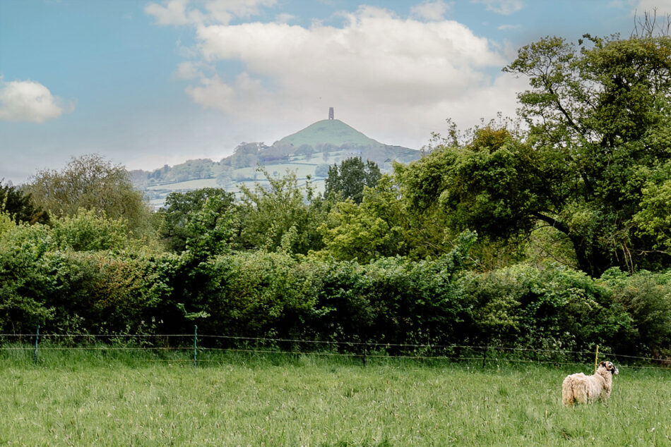 For Sale Upper Westholme Barns, Pilton, Somerset The Modern House