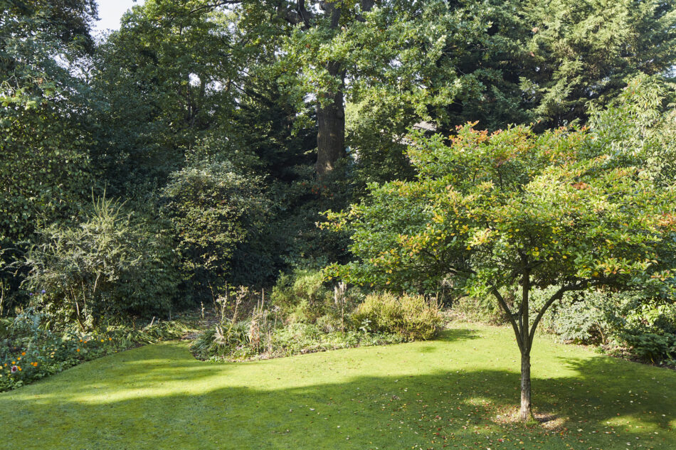 For Sale The Rossdale House, Hendon Avenue, London N3 The Modern House