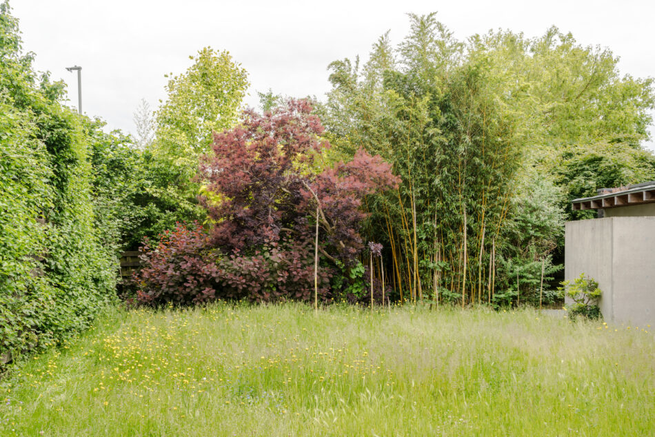 For Sale Waterside Drive, WaltononThames, Surrey The Modern House