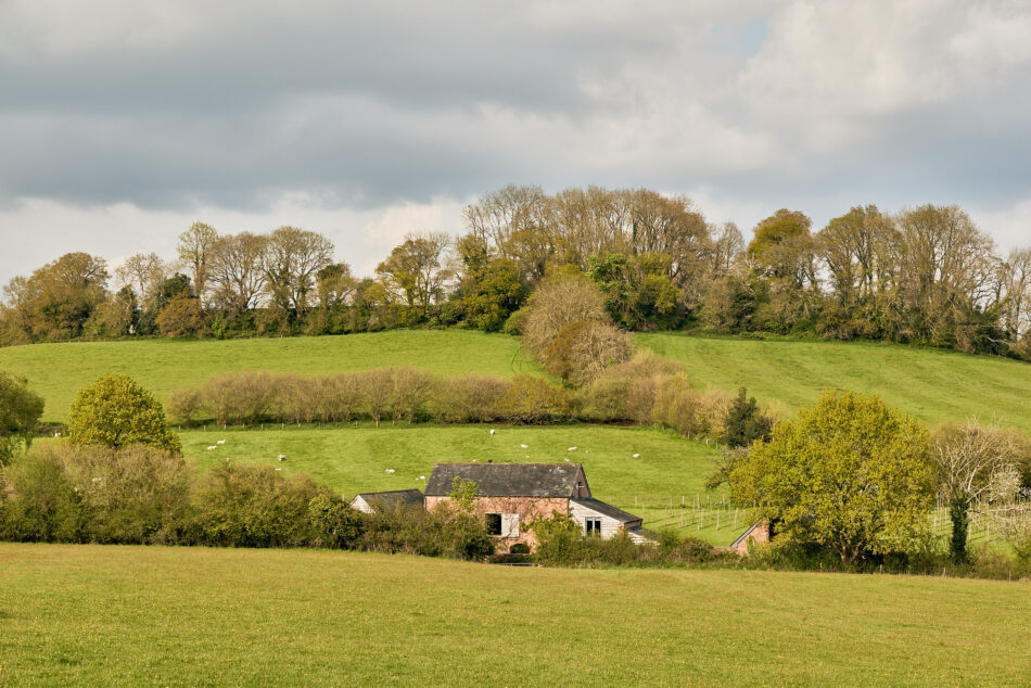 For Sale Westleigh, Lydeard St Lawrence, Somerset The Modern House