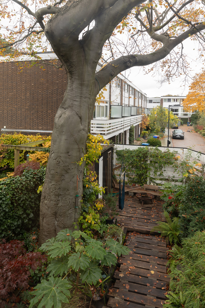 For Sale The Hamlet III, London SE5 The Modern House