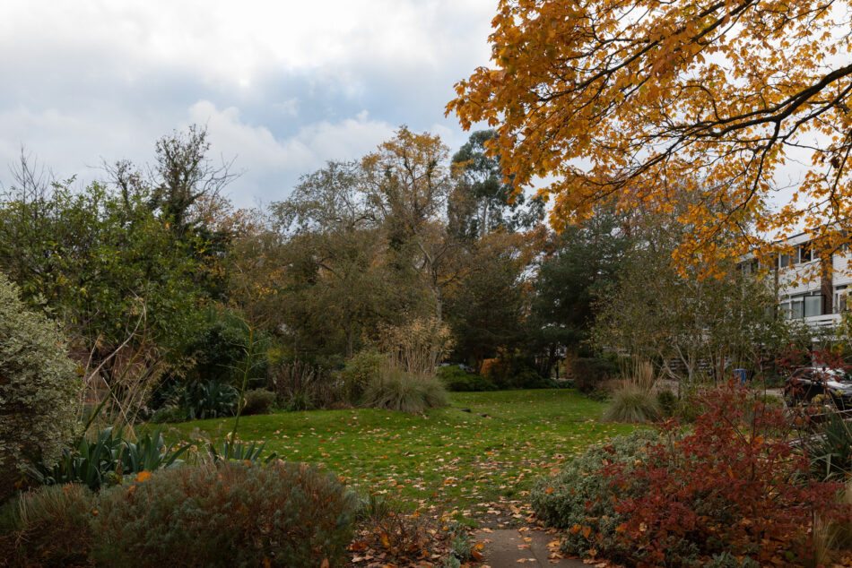 For Sale The Hamlet III, London SE5 The Modern House