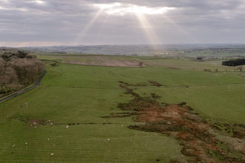 For Sale Great Whittington, Hexham, Northumberland The Modern House