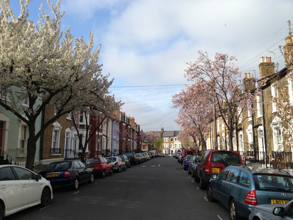 Tavistock Terrace London N19 The Modern House